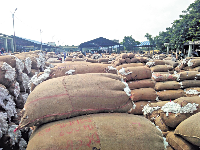 గజ్వేల్‌లో పత్తికి రికార్డు ధర