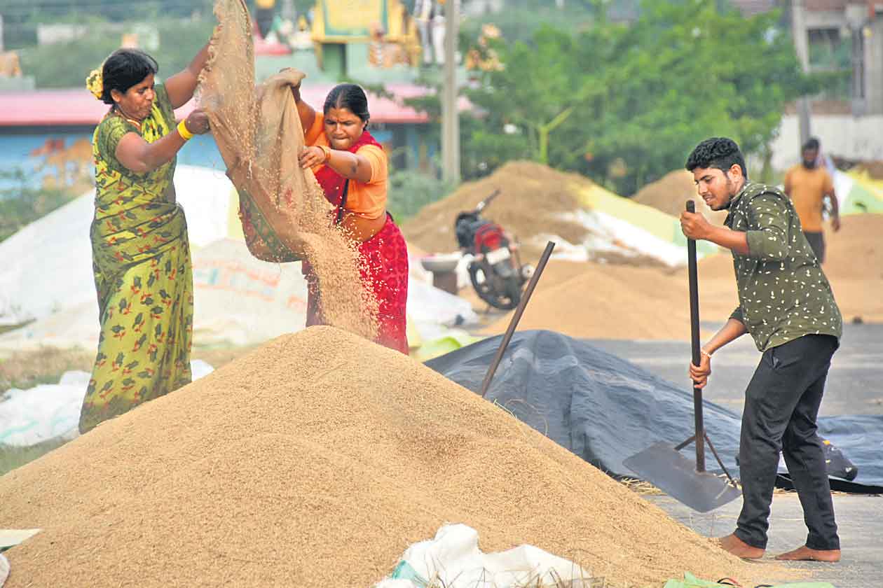 మొత్తం వడ్లు కొంటాం.. రైతులెవరూ ఆందోళన చెందొద్దు