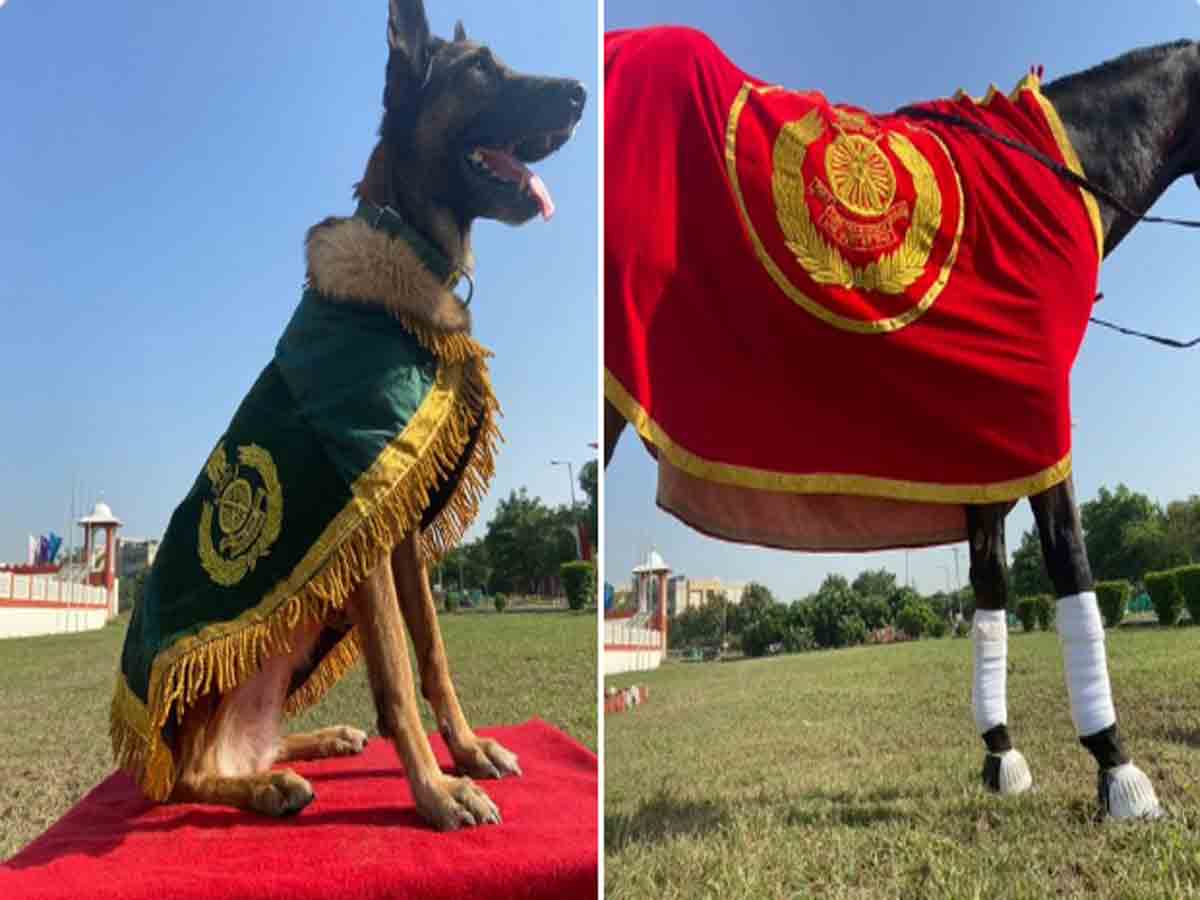 కుక్క, గుర్రానికి.. ఐటీబీపీ ప్రత్యేక మెడల్స్‌