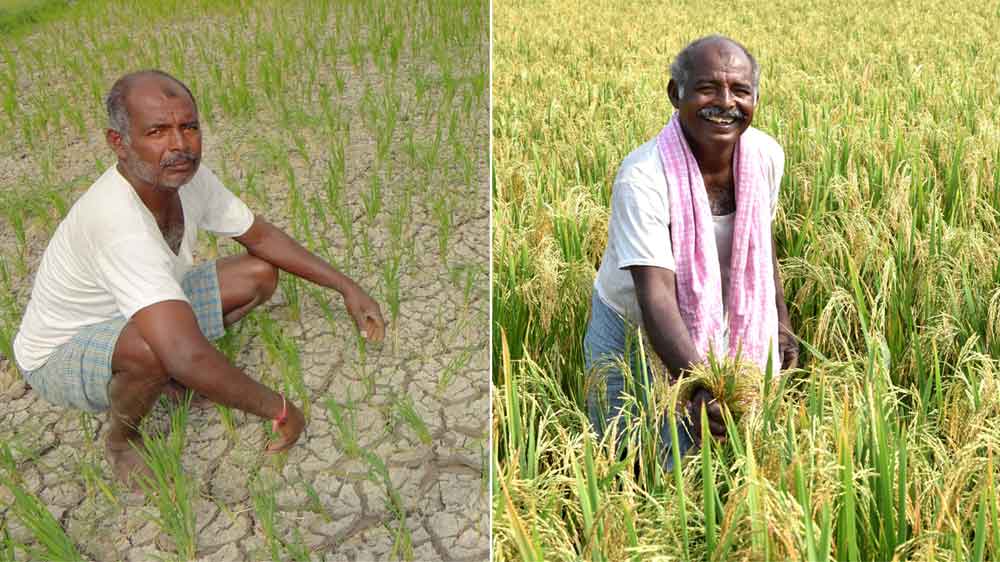 అలుగుపారుతున్న అభివృద్ధి