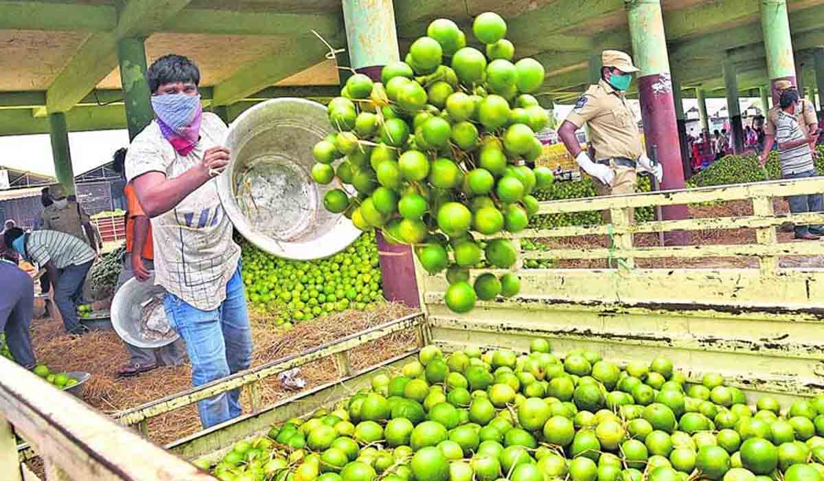 Fruit Market | బాటసింగారంలో పండ్ల మార్కెట్‌ ప్రారంభించిన సబితా ఇంద్రారెడ్డి