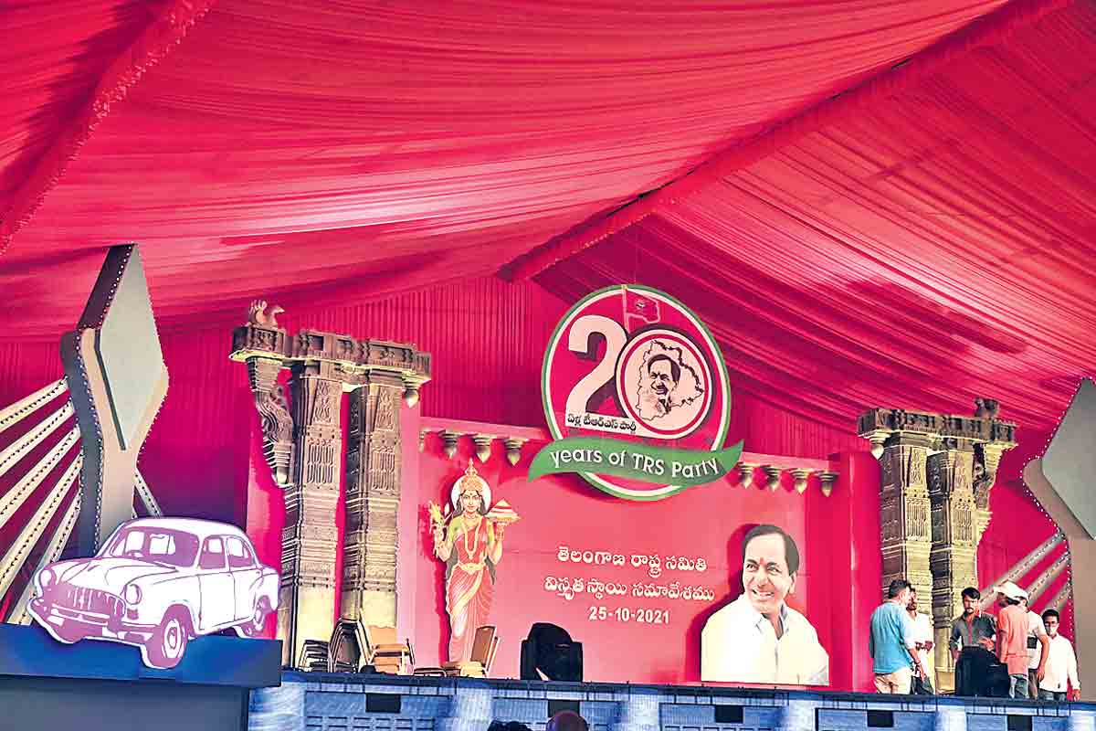 గులాబీమయంగా మారిన నగరం