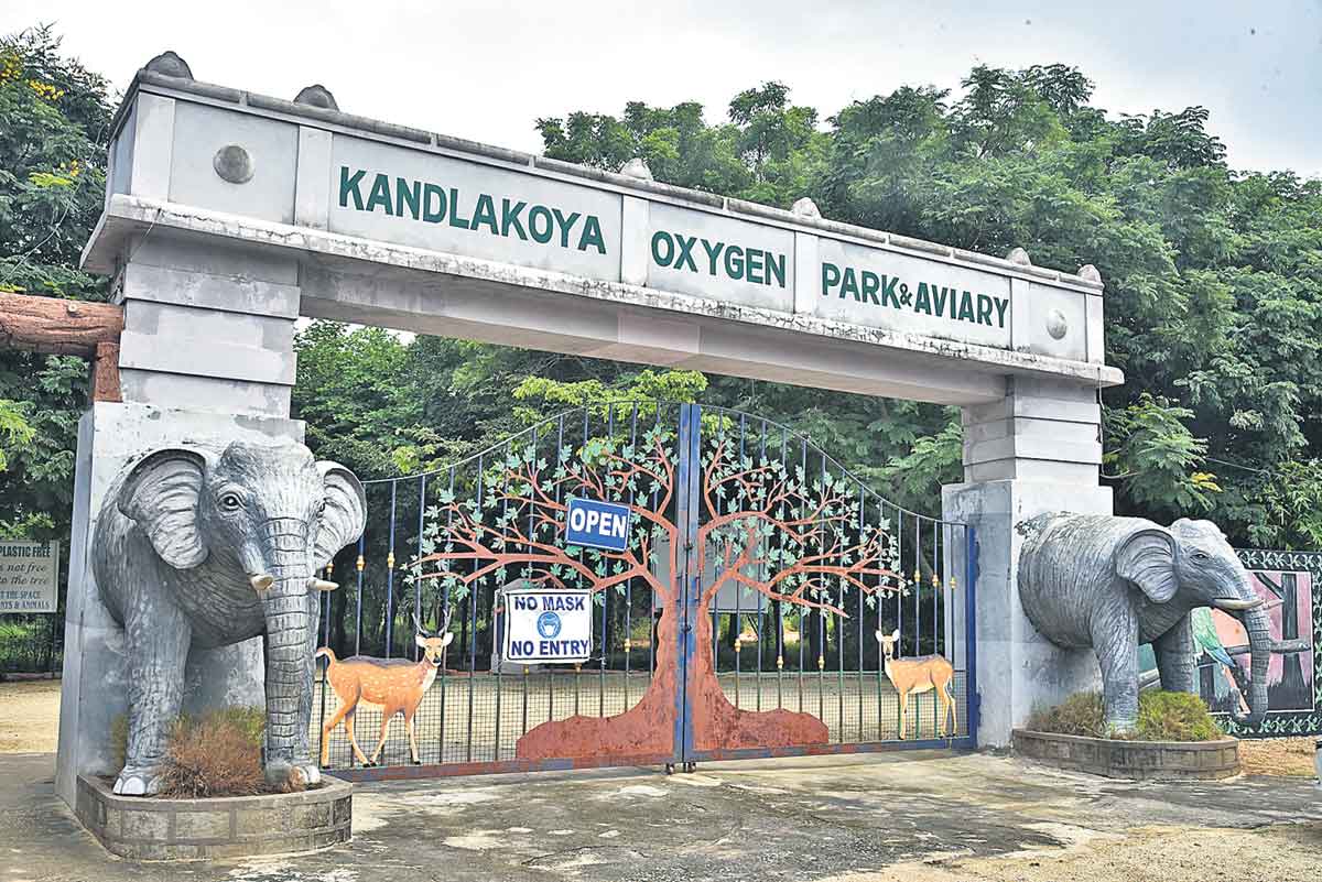 వనంలోహాయ్‌.. హాయ్‌..