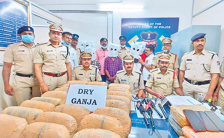 గాంజాపై పంజా..