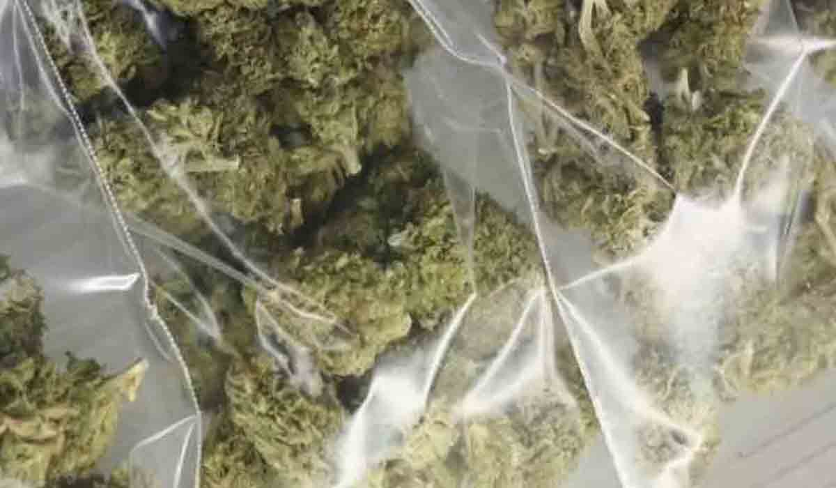 మహబూబ్‌నగర్‌లో అంతర్రాష్ట్ర గంజాయి ముఠా అరెస్ట్‌