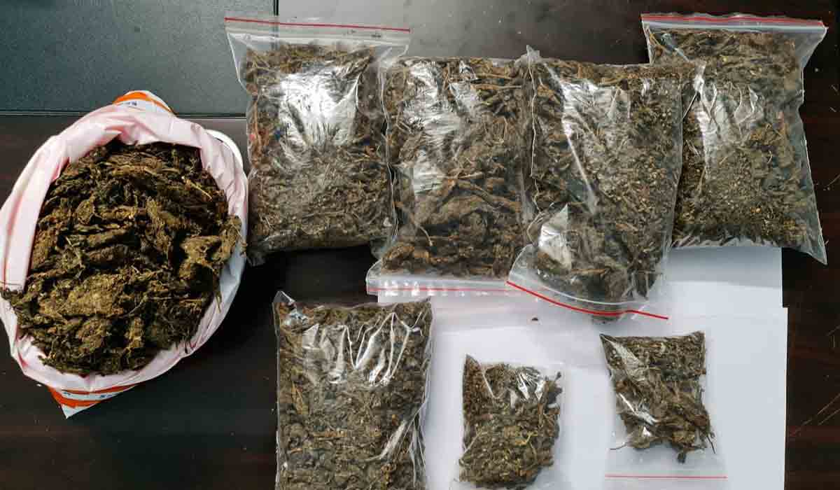 వరంగల్ జిల్లాలో 1.5 కిలోల ఎండు గంజాయి స్వాధీనం