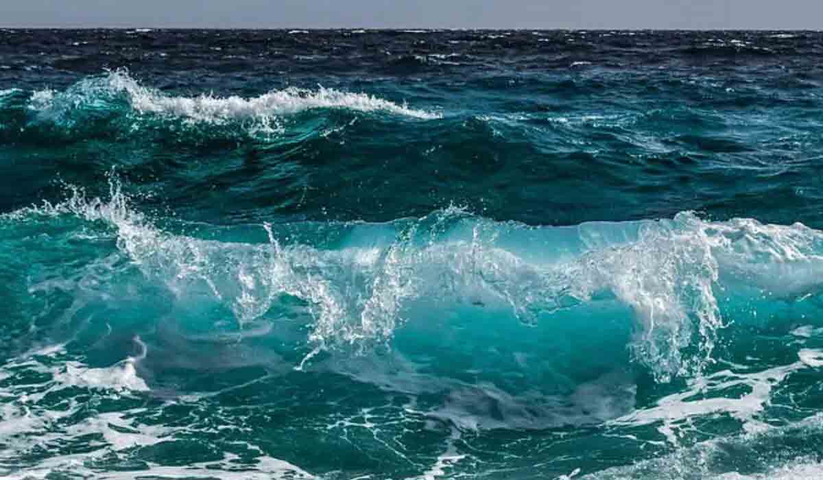 మనవళ్లను కాపాడబోయి సముద్రంలో మునిగిపోయిన తాత