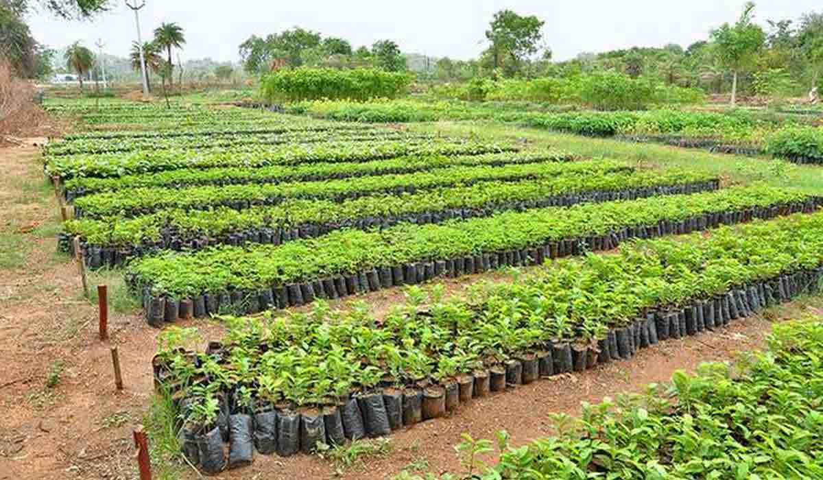 TS Assembly | తెలంగాణ హ‌రిత నిధికి సీఎం కేసీఆర్ ప్ర‌తిపాద‌న‌