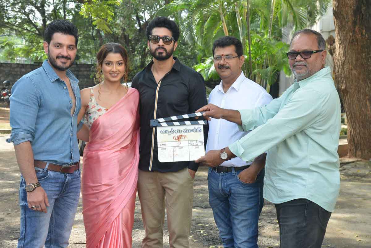 Gray Movie | గూఢచారి ఎవరు?