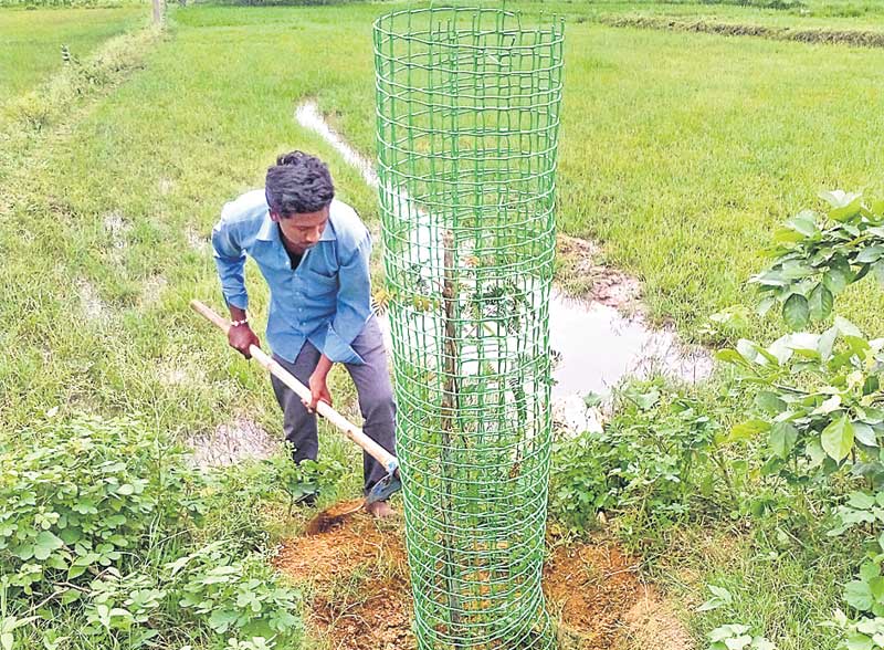 మాటలతో వింటలేరనే కఠిన చట్టాలు