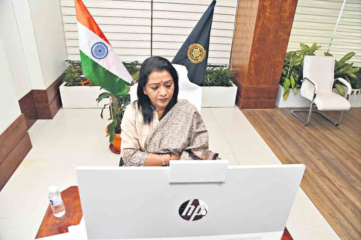 పచ్చదనానికే ప్రాముఖ్యం..