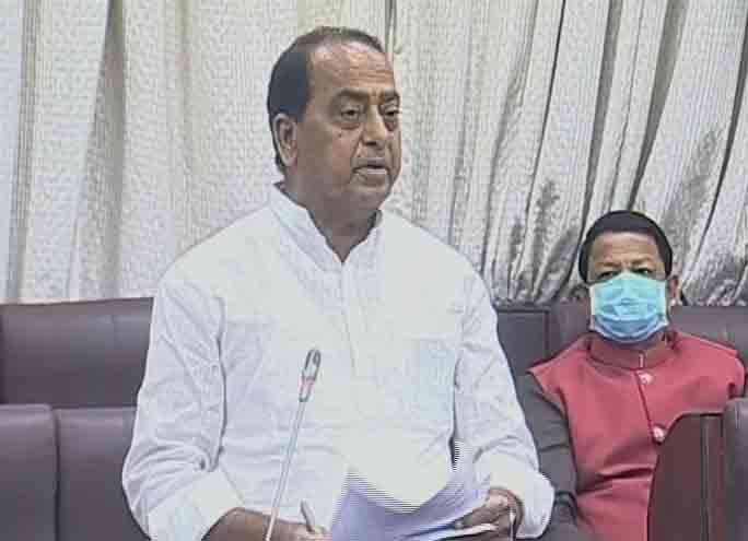 పచ్చదనం పెంపుదల కోసమే హరితనిధి