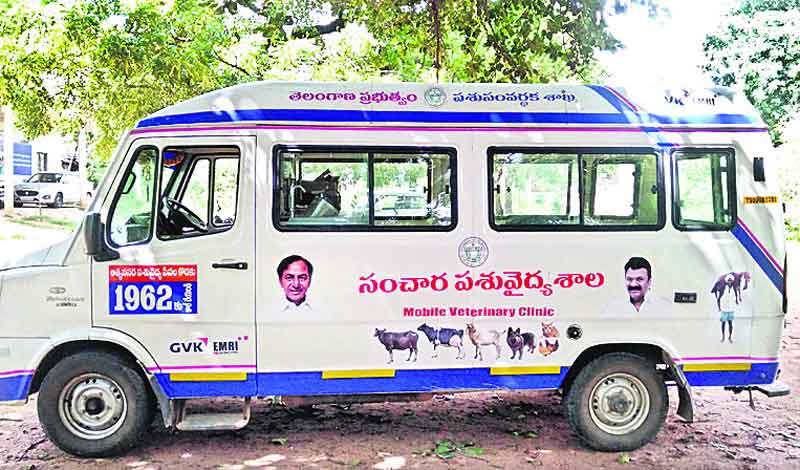 మూగజీవాలకు భరోసా