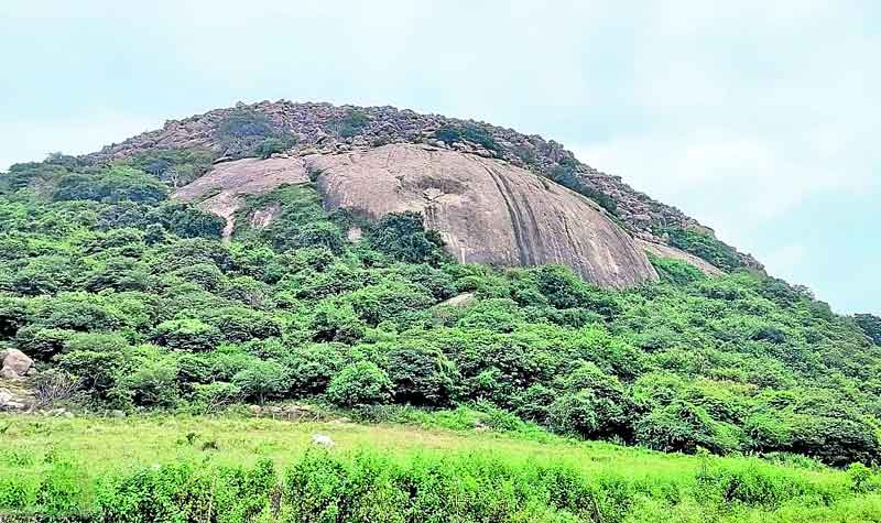 నాగరికతకు నిలువెత్తు సాక్ష్యం