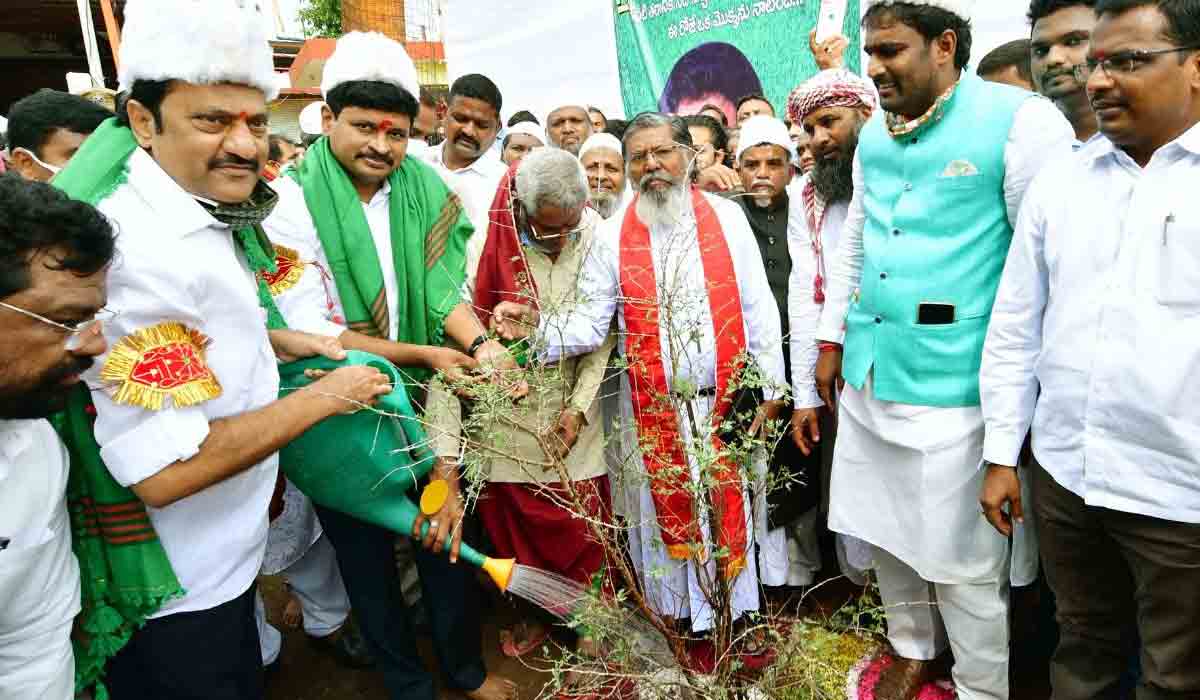 గ్రీన్ ఇండియా ఛాలెంజ్.. రామాల‌యంలో జ‌మ్మి, మ‌సీదులో రేగు మొక్క‌