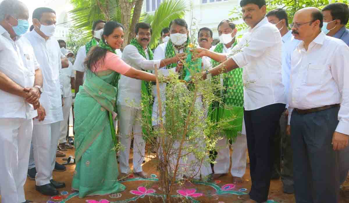 అసెంబ్లీలో జ‌మ్మి మొక్కను నాటిన స్పీకర్ పోచారం శ్రీనివాస్ రెడ్డి