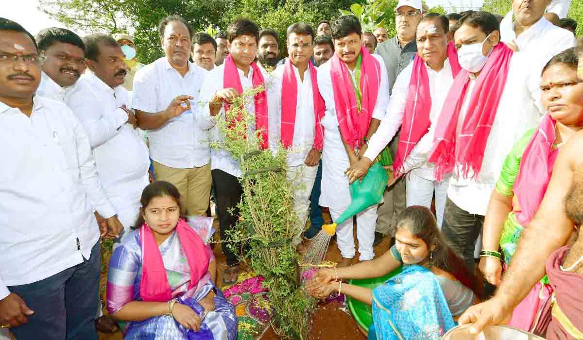 కీస‌ర‌గుట్ట‌లో జ‌మ్మి మొక్క నాటిన మంత్రి మ‌ల్లారెడ్డి, ఎంపీ సంతోష్ కుమార్