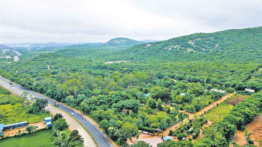 ప్రకృతిని ప్రేమించి.. ప్రకృతిలో జీవించి..