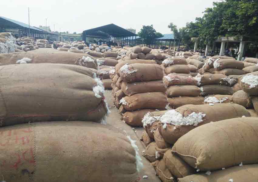 ఖమ్మం పత్తికి ఫిదా