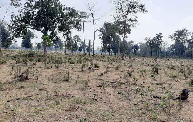 పోడు రైతులకు భరోసా