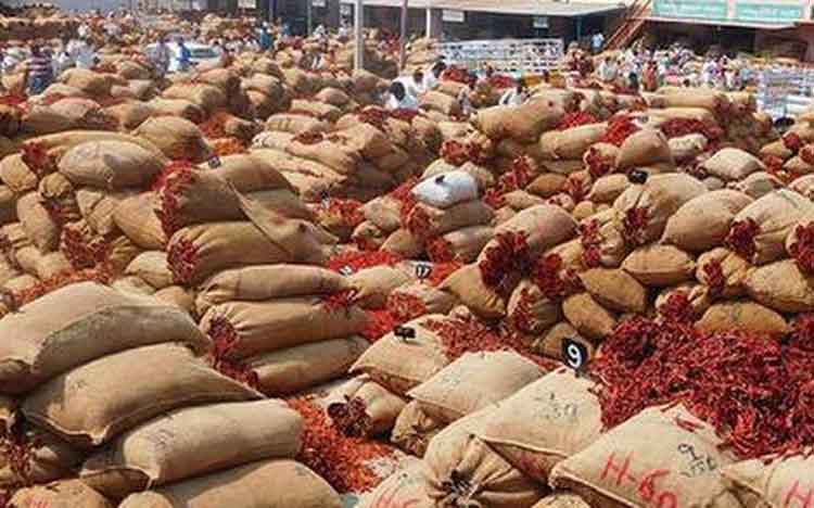 మిర్చి ధరల తిరోగమనం