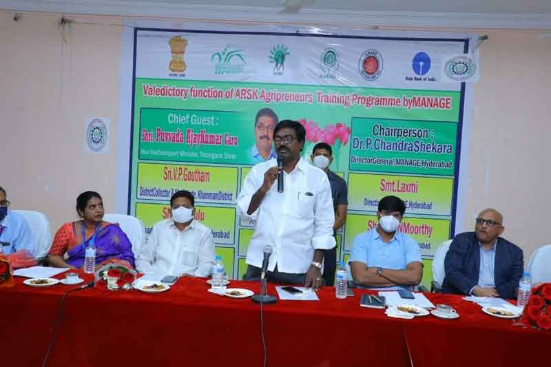 గణనీయంగా పెరిగిన సాగు