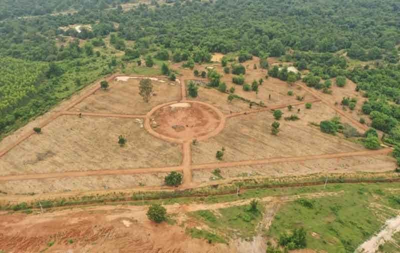 పల్లెకు పచ్చందం