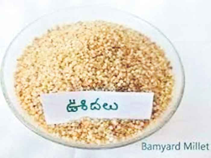 చిరు ధాన్యాలతో ప్రయోజనాలు