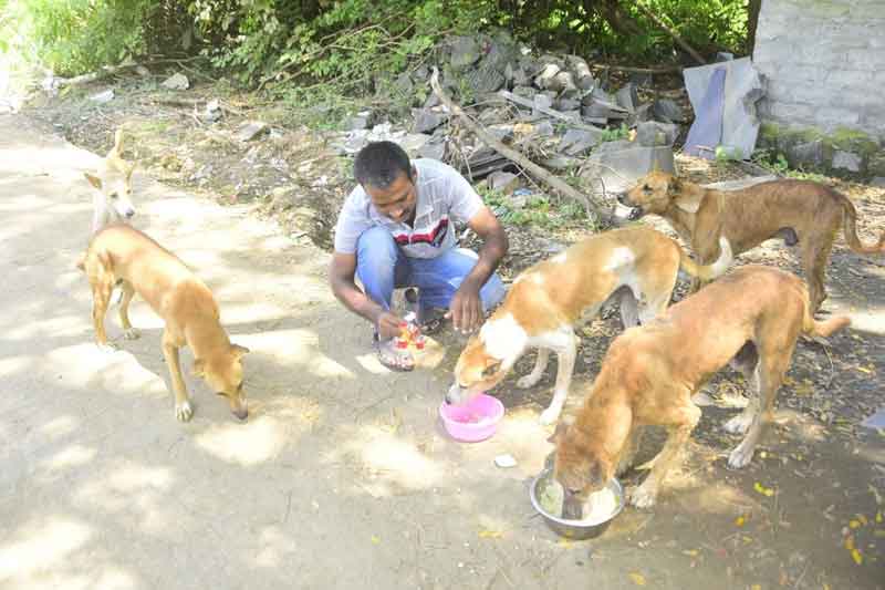 భైరవనేస్తం..
