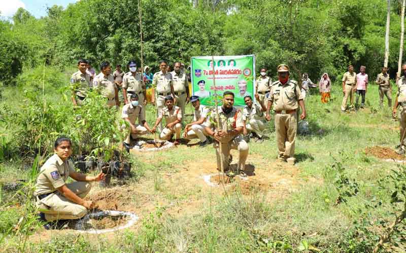 పచ్చని చెట్లతోనే మానవ మనుగడ