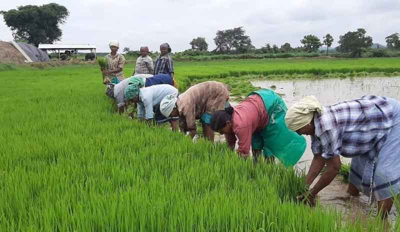 మురిపించిన ‘నైరుతి’
