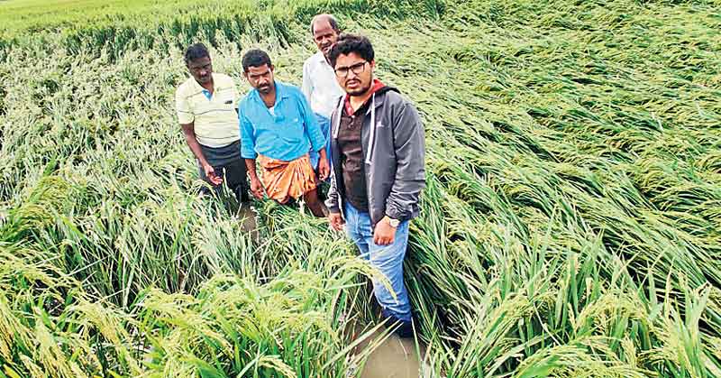 నేలవాలిన ఆశలు!