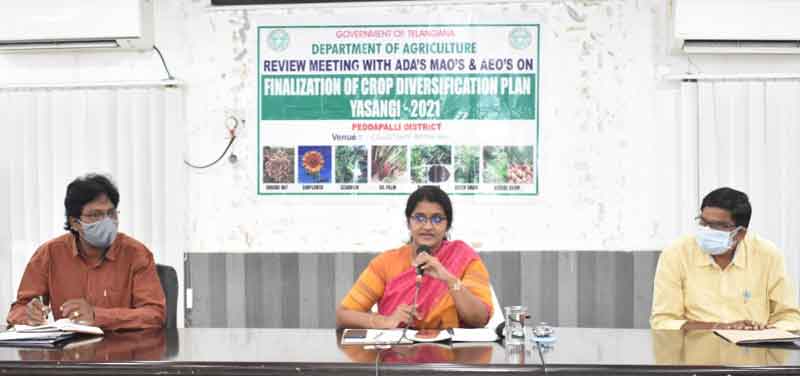 ప్రత్యామ్నాయంపై దృష్టి సారించాలి