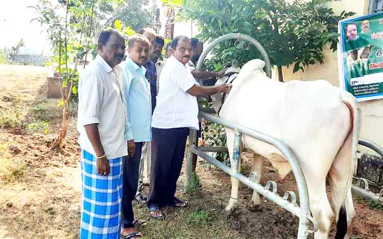 పశుసంపదను కాపాడుకోవాలి