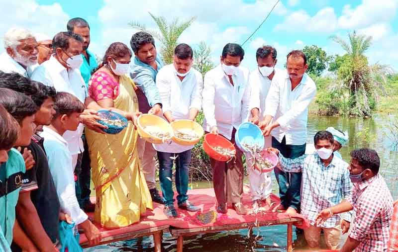 చేపల పెంపకంతో ఆర్థికంగా ఎదగాలి
