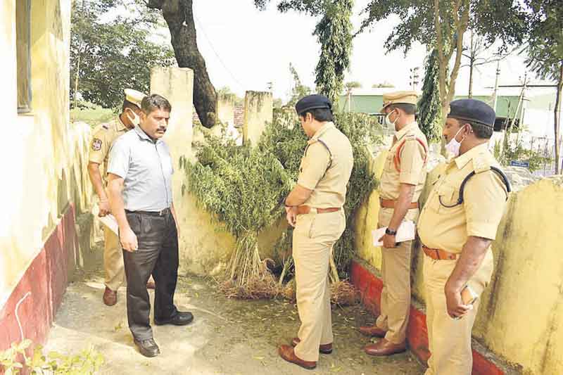 గంజాయి సాగు చేస్తే చర్యలు