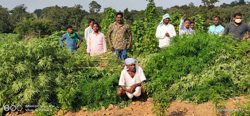 మత్తు వదిలిస్తున్నారు