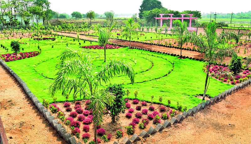 పల్లెల్లో ‘ప్రగతి’ వెలుగులు