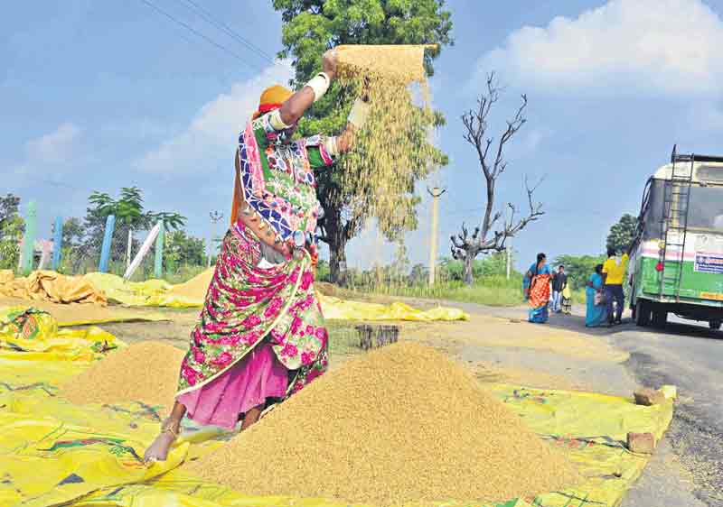 వరి రైతుకు భరోసా