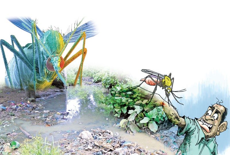 డెంగీతో జాగ్రత్త..