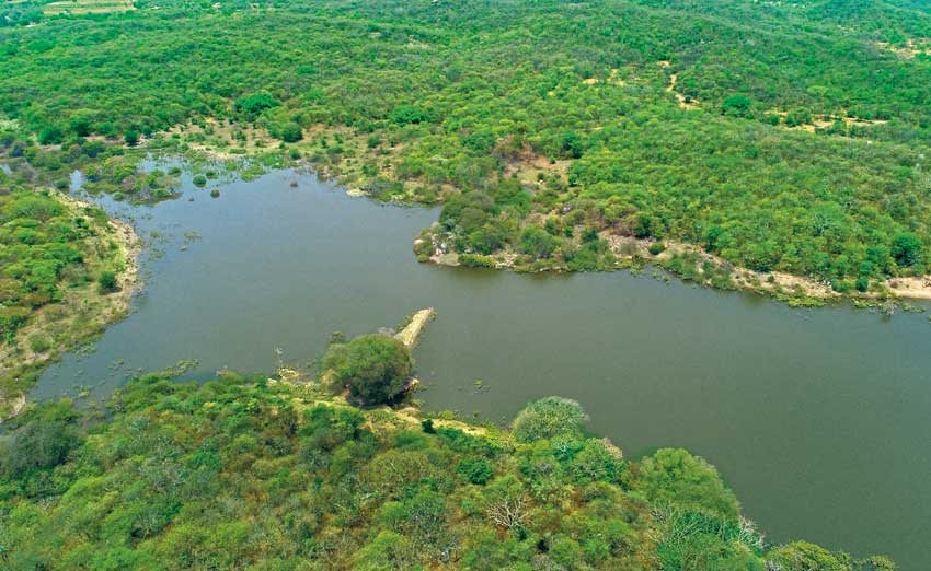 సాగరం చెంతనే మల్లన్న వనం