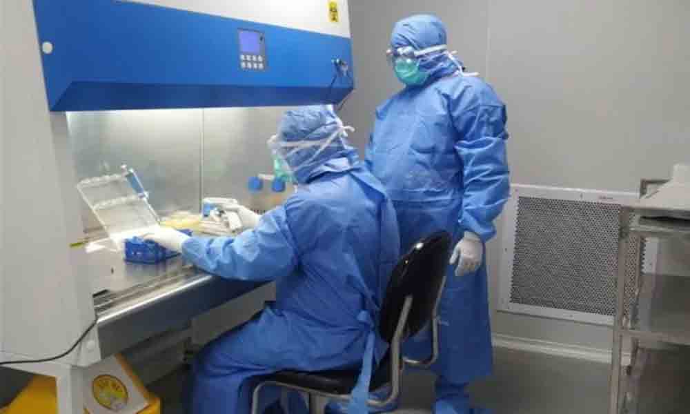 కరోనా డెల్టా వేరియంట్‌ సోకిన వ్యక్తుల్లో యాంటీబాడీస్‌ డబుల్‌!