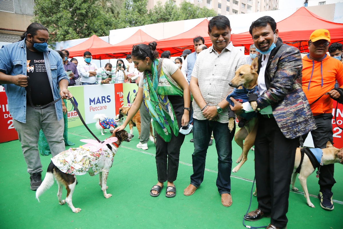 Dog show | డాగ్‌ పార్క్​‍లో అకట్టుకున్న డాగ్‌ షో