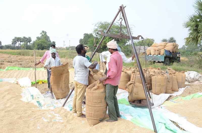 ధాన్యం కొనుగోళ్లకు సన్నద్ధం