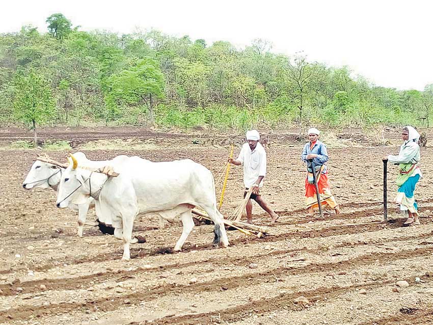 అన్నదాతల కుటుంబాలకు భరోసా
