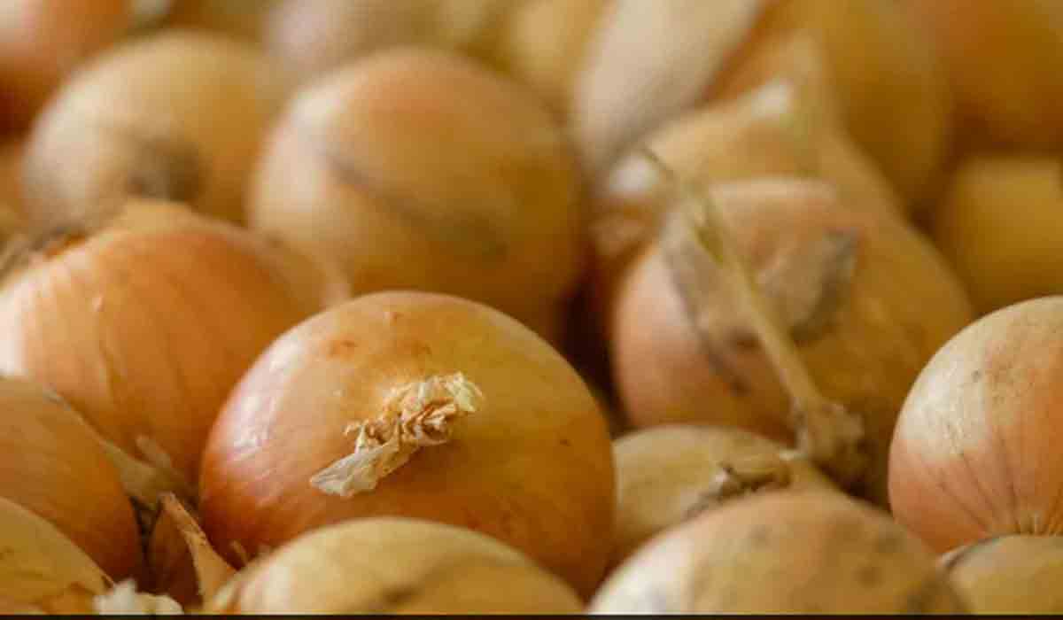 అమెరికాలో ఆ ఉల్లిగ‌డ్డ‌లు తిన‌డంతో వంద‌లాది మందికి అస్వ‌స్థ‌త‌