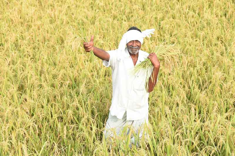 కేంద్రం కక్ష.. రాష్ట్రం రక్ష