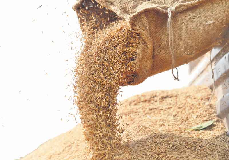 కొనుగోలుకు కసరత్తు