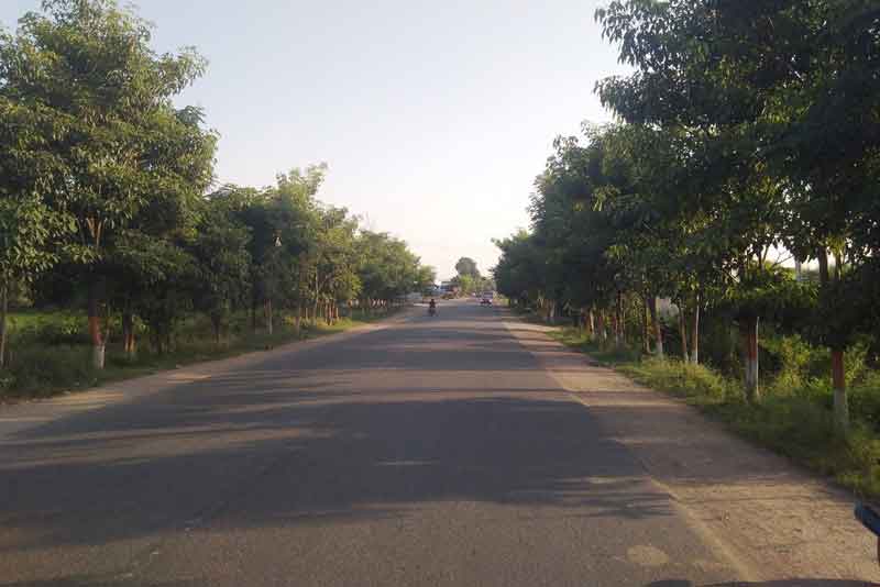 హరిత స్వాగతం