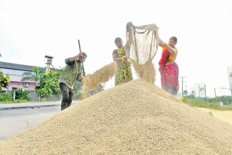 వడ్ల కొనుగోలుకు సన్నద్ధం